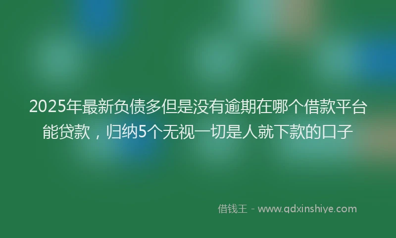 2025年最新负债多但是没有逾期在哪个借款平台能贷款，归纳5个无视一切是人就下款的口子