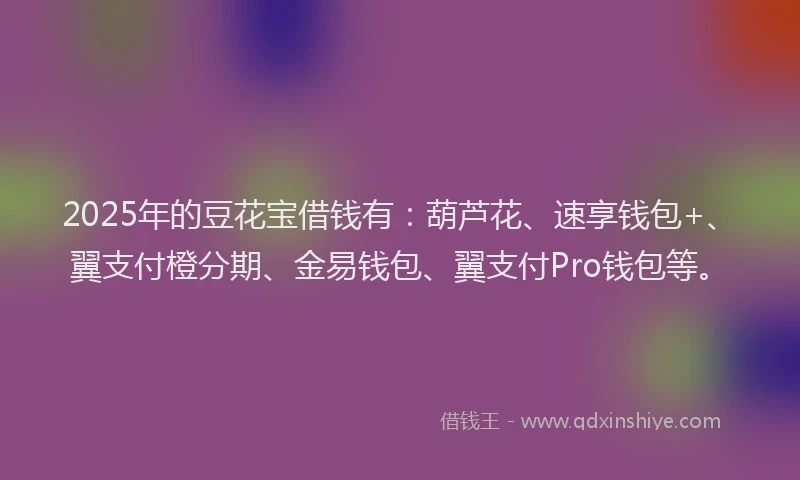 2025年的豆花宝借钱有：葫芦花、速享钱包+、翼支付橙分期、金易钱包、翼支付Pro钱包等。