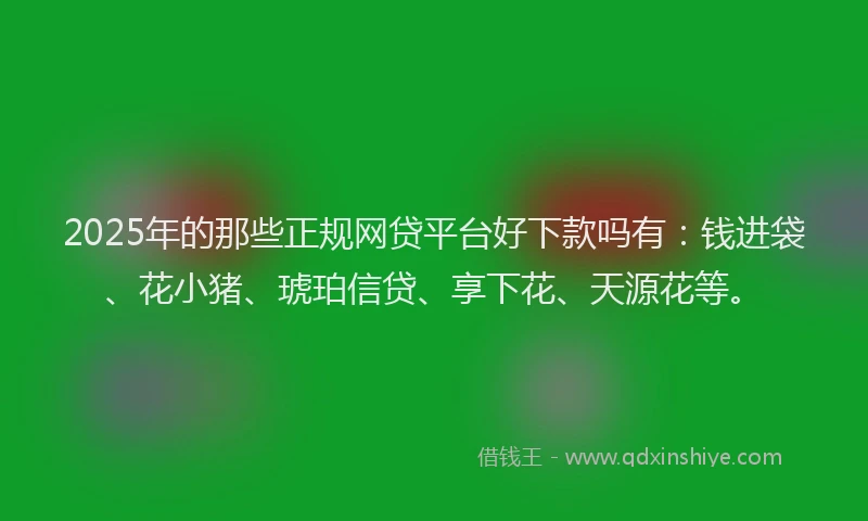2025年的那些正规网贷平台好下款吗有：钱进袋、花小猪、琥珀信贷、享下花、天源花等。