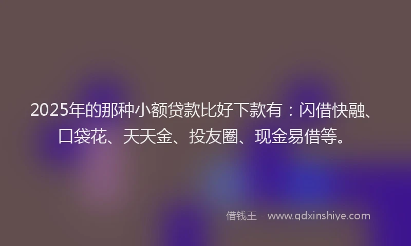2025年的那种小额贷款比好下款有：闪借快融、口袋花、天天金、投友圈、现金易借等。