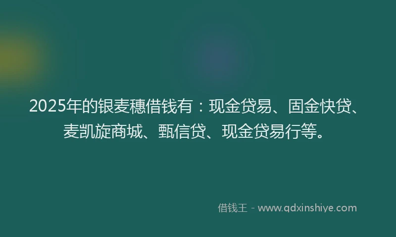 2025年的银麦穗借钱有：现金贷易、固金快贷、麦凯旋商城、甄信贷、现金贷易行等。