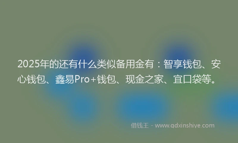 2025年的还有什么类似备用金有：智享钱包、安心钱包、鑫易Pro+钱包、现金之家、宜口袋等。