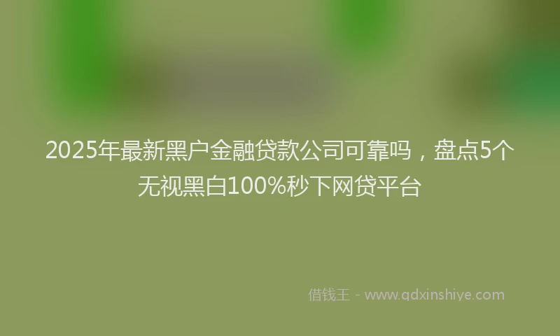 2025年最新黑户金融贷款公司可靠吗，盘点5个无视黑白100%秒下网贷平台