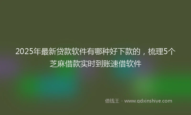 2025年最新贷款软件有哪种好下款的，梳理5个芝麻借款实时到账速借软件
