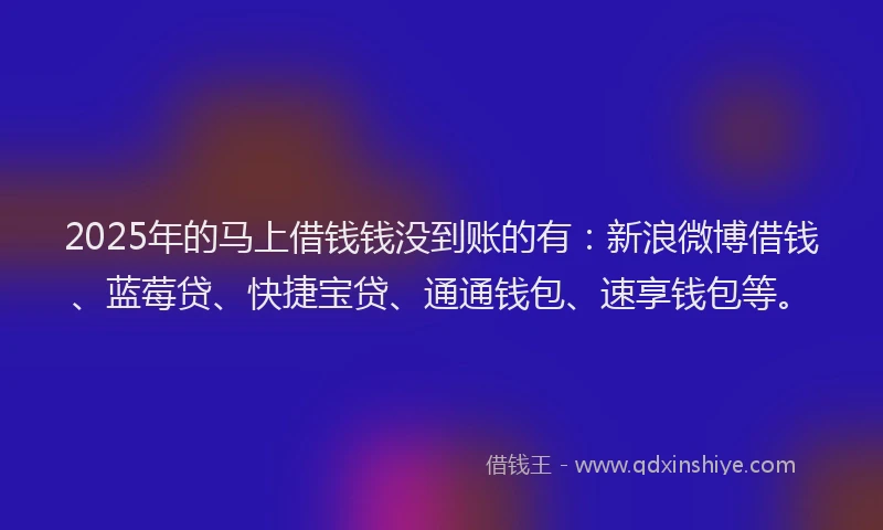 2025年的马上借钱钱没到账的有：新浪微博借钱、蓝莓贷、快捷宝贷、通通钱包、速享钱包等。