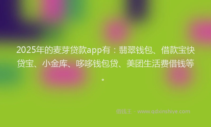 2025年的麦芽贷款app有：翡翠钱包、借款宝快贷宝、小金库、哆哆钱包贷、美团生活费借钱等。