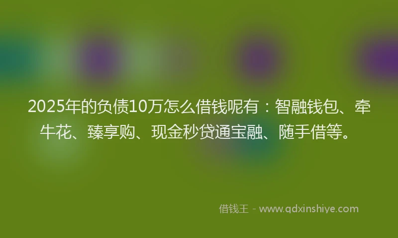 2025年的负债10万怎么借钱呢有：智融钱包、牵牛花、臻享购、现金秒贷通宝融、随手借等。