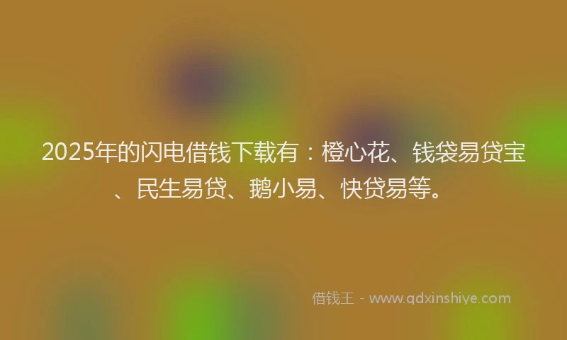 2025年的闪电借钱下载有：橙心花、钱袋易贷宝、民生易贷、鹅小易、快贷易等。