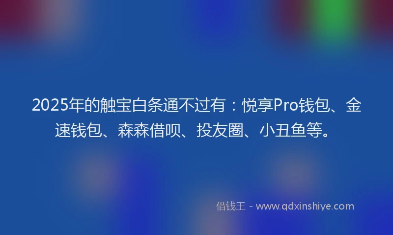 2025年的触宝白条通不过有：悦享Pro钱包、金速钱包、森森借呗、投友圈、小丑鱼等。