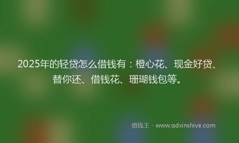 2025年的轻贷怎么借钱有：橙心花、现金好贷、替你还、借钱花、珊瑚钱包等。