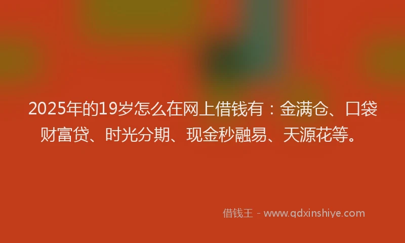 2025年的19岁怎么在网上借钱有：金满仓、口袋财富贷、时光分期、现金秒融易、天源花等。