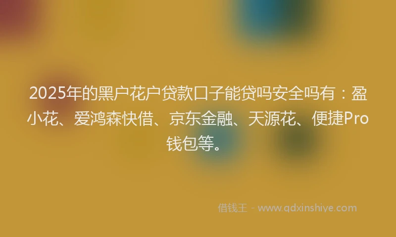 2025年的黑户花户贷款口子能贷吗安全吗有：盈小花、爱鸿森快借、京东金融、天源花、便捷Pro钱包等。