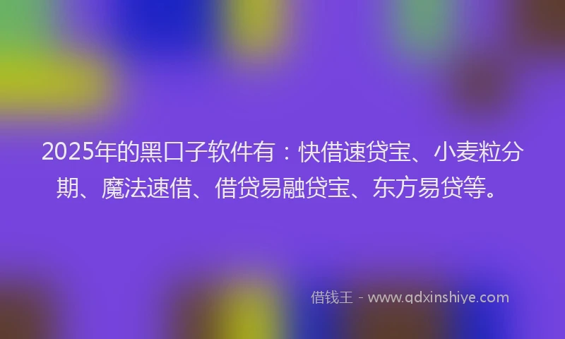 2025年的黑口子软件有：快借速贷宝、小麦粒分期、魔法速借、借贷易融贷宝、东方易贷等。
