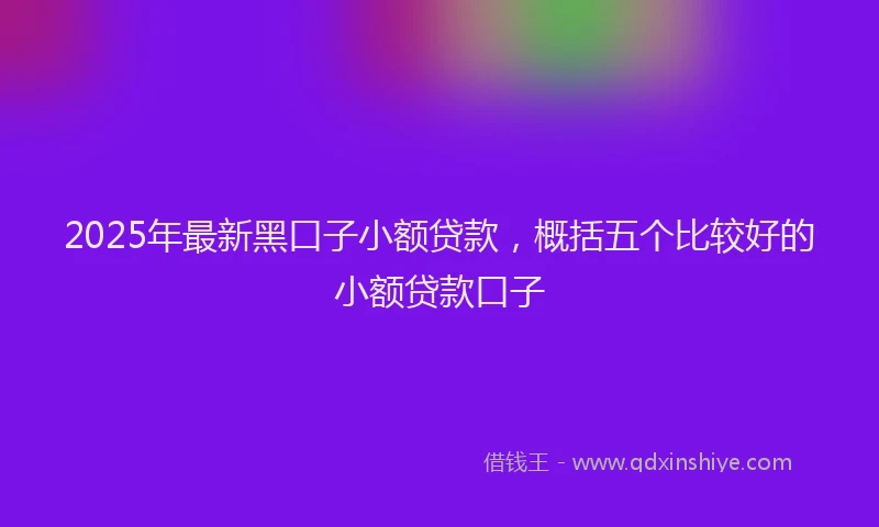 2025年最新黑口子小额贷款，概括五个比较好的小额贷款口子