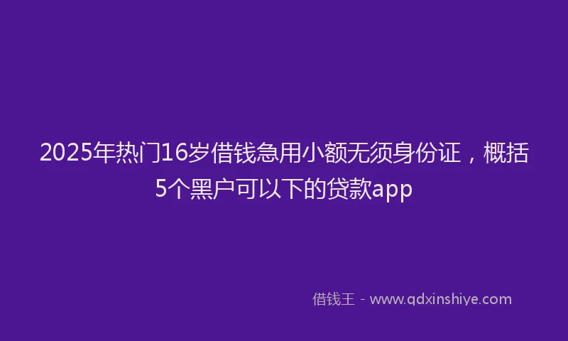 2025年热门16岁借钱急用小额无须身份证，概括5个黑户可以下的贷款app
