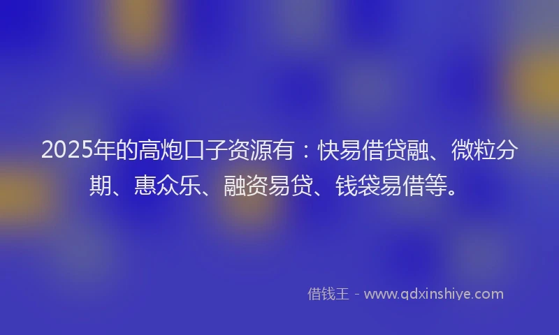 2025年的高炮口子资源有：快易借贷融、微粒分期、惠众乐、融资易贷、钱袋易借等。
