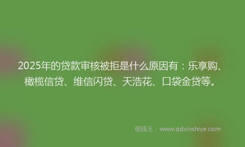 2025年的贷款审核被拒是什么原因有：乐享购、橄榄信贷、维信闪贷、天浩花、口袋金贷等。