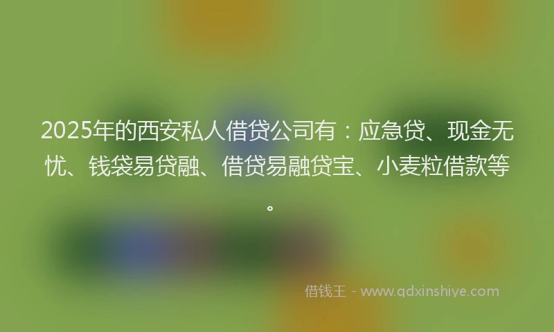 2025年的西安私人借贷公司有：应急贷、现金无忧、钱袋易贷融、借贷易融贷宝、小麦粒借款等。