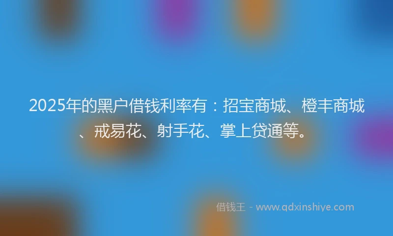 2025年的黑户借钱利率有：招宝商城、橙丰商城、戒易花、射手花、掌上贷通等。
