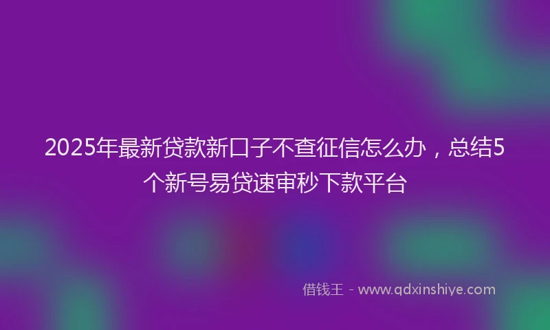 2025年最新贷款新口子不查征信怎么办，总结5个新号易贷速审秒下款平台