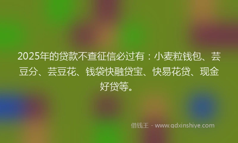 2025年的贷款不查征信必过有：小麦粒钱包、芸豆分、芸豆花、钱袋快融贷宝、快易花贷、现金好贷等。