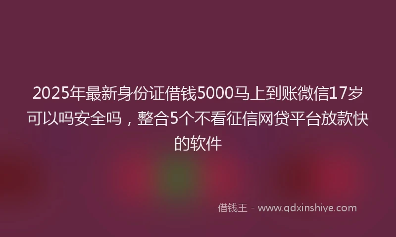 2025年最新身份证借钱5000马上到账微信17岁可以吗安全吗，整合5个不看征信网贷平台放款快的软件