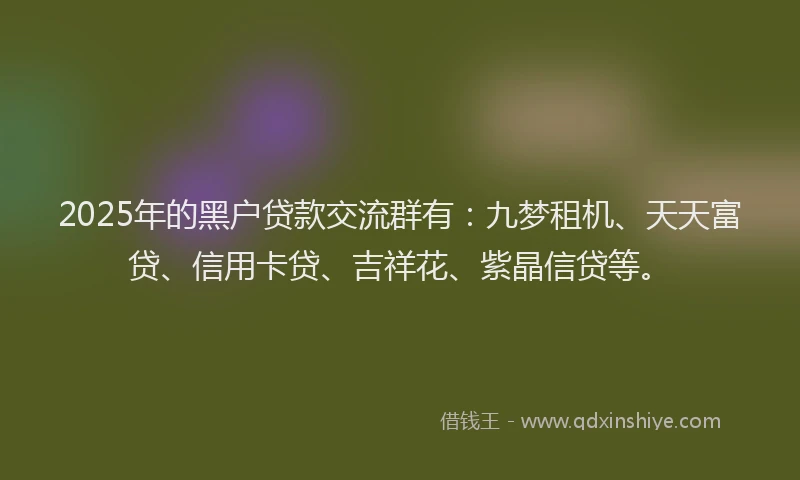 2025年的黑户贷款交流群有：九梦租机、天天富贷、信用卡贷、吉祥花、紫晶信贷等。