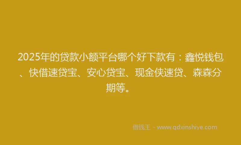 2025年的贷款小额平台哪个好下款有：鑫悦钱包、快借速贷宝、安心贷宝、现金侠速贷、森森分期等。