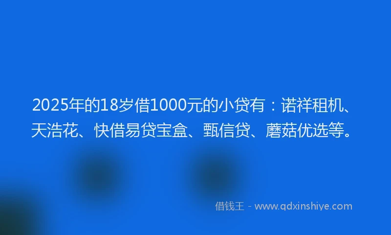 2025年的18岁借1000元的小贷有：诺祥租机、天浩花、快借易贷宝盒、甄信贷、蘑菇优选等。