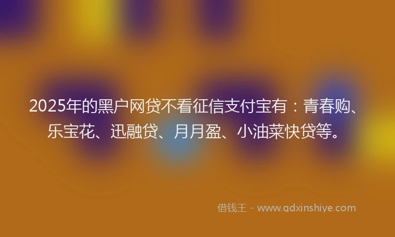 2025年的黑户网贷不看征信支付宝有：青春购、乐宝花、迅融贷、月月盈、小油菜快贷等。