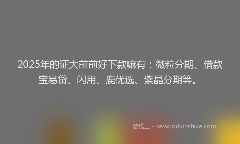 2025年的证大前前好下款嘛有:微粒分期、借款宝易贷、闪用、鹿优选、紫晶分期等。