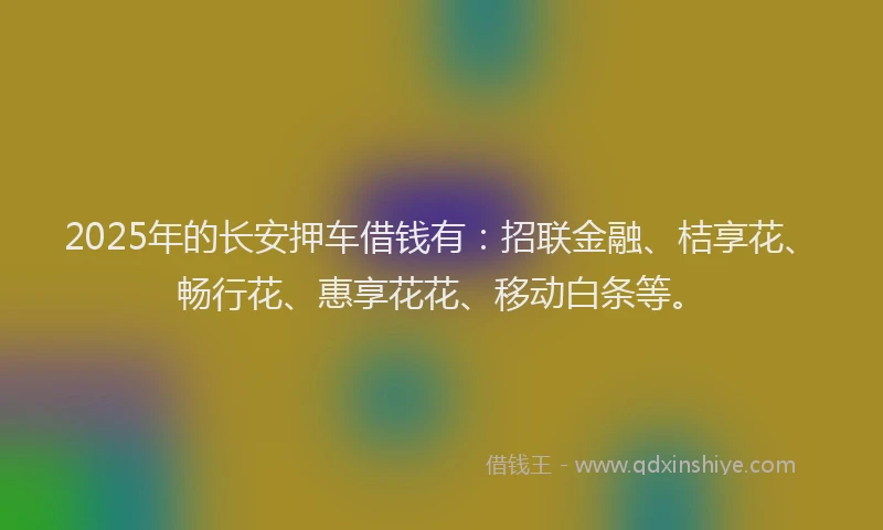 2025年的长安押车借钱有:招联金融、桔享花、畅行花、惠享花花、移动白条等。