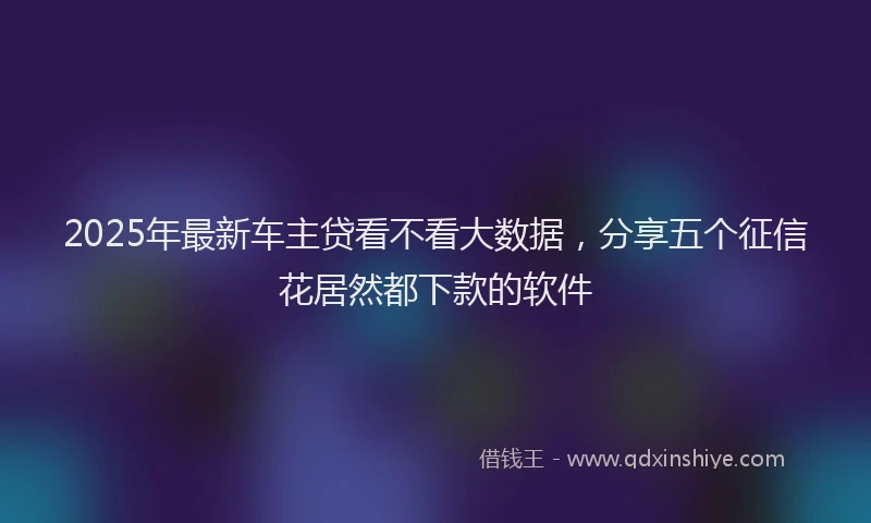 2025年最新车主贷看不看大数据，分享五个征信花居然都下款的软件