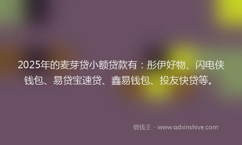 2025年的麦芽贷小额贷款有：彤伊好物、闪电侠钱包、易贷宝速贷、鑫易钱包、投友快贷等。