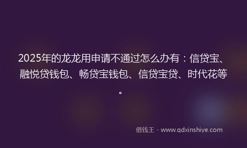 2025年的龙龙用申请不通过怎么办有：信贷宝、融悦贷钱包、畅贷宝钱包、信贷宝贷、时代花等。