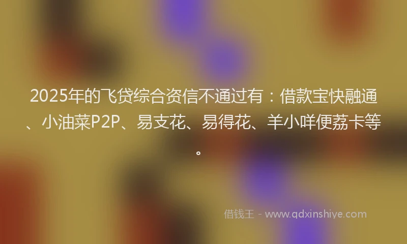 2025年的飞贷综合资信不通过有：借款宝快融通、小油菜P2P、易支花、易得花、羊小咩便荔卡等。