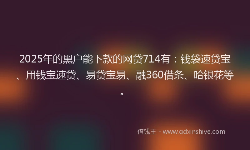 2025年的黑户能下款的网贷714有：钱袋速贷宝、用钱宝速贷、易贷宝易、融360借条、哈银花等。