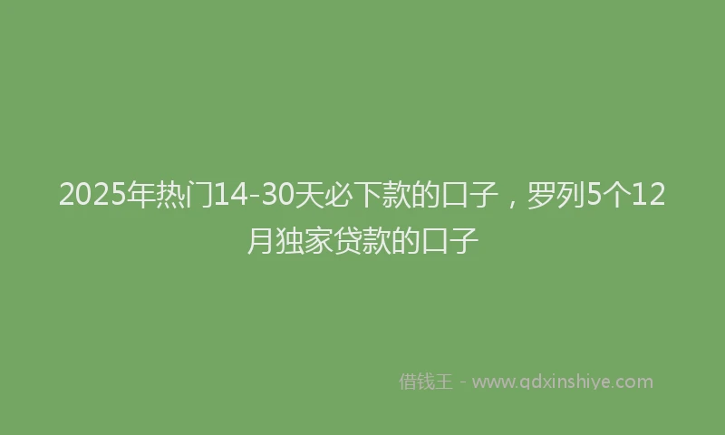 2025年热门14-30天必下款的口子，罗列5个12月独家贷款的口子