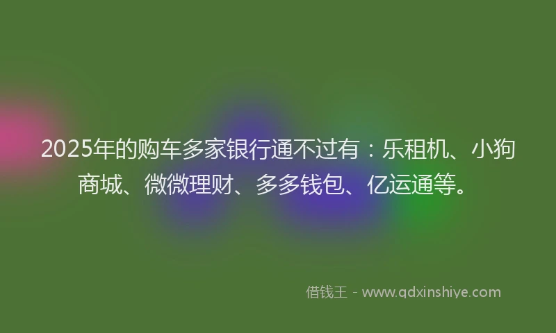 2025年的购车多家银行通不过有：乐租机、小狗商城、微微理财、多多钱包、亿运通等。