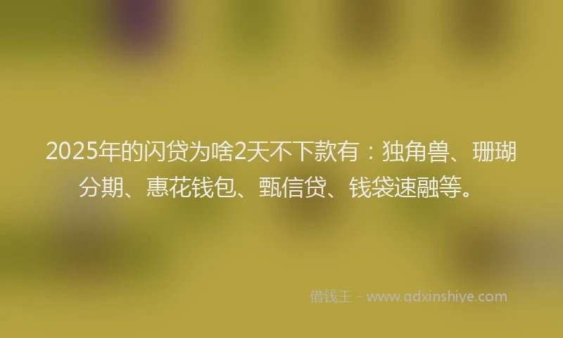 2025年的闪贷为啥2天不下款有：独角兽、珊瑚分期、惠花钱包、甄信贷、钱袋速融等。