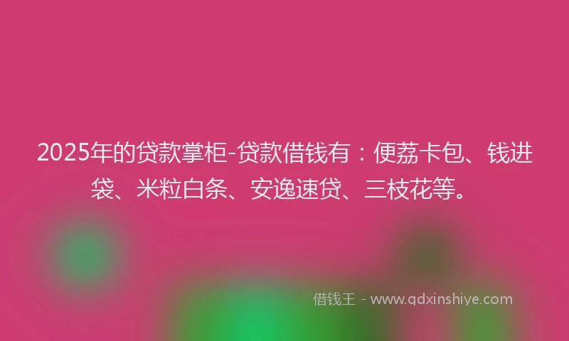 2025年的贷款掌柜-贷款借钱有:便荔卡包、钱进袋、米粒白条、安逸速贷、三枝花等。