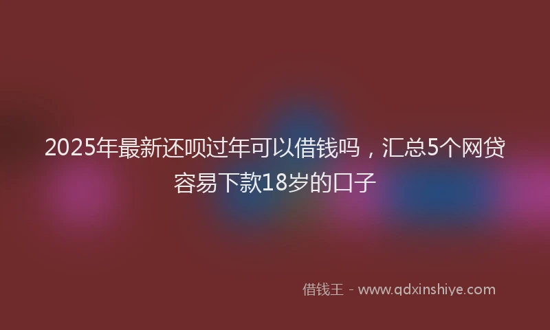 2025年最新还呗过年可以借钱吗，汇总5个网贷容易下款18岁的口子