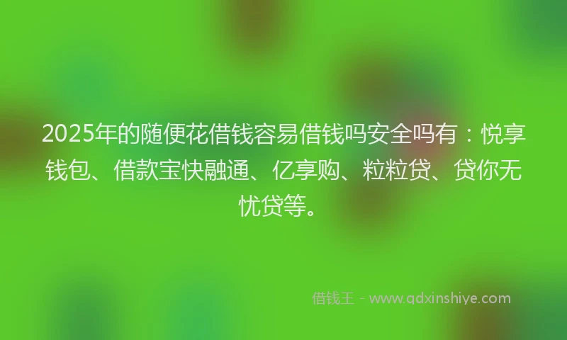 2025年的随便花借钱容易借钱吗安全吗有：悦享钱包、借款宝快融通、亿享购、粒粒贷、贷你无忧贷等。