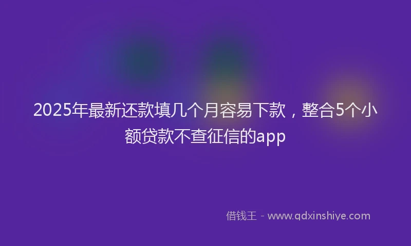 2025年最新还款填几个月容易下款，整合5个小额贷款不查征信的app