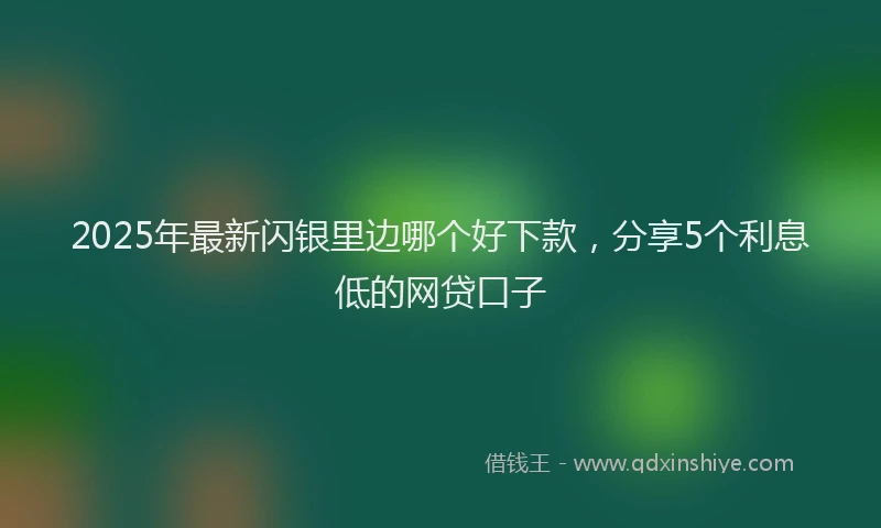 2025年最新闪银里边哪个好下款，分享5个利息低的网贷口子