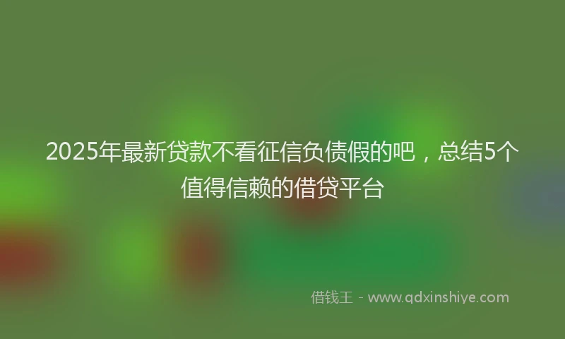 2025年最新贷款不看征信负债假的吧，总结5个值得信赖的借贷平台