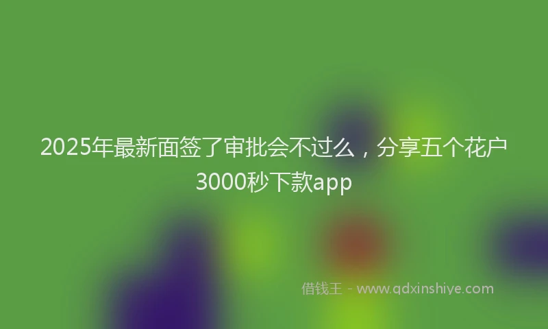 2025年最新面签了审批会不过么，分享五个花户3000秒下款app