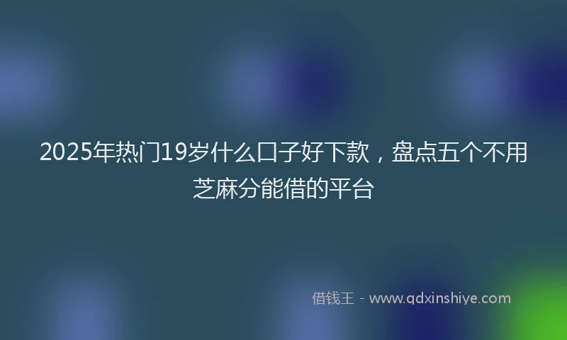 2025年热门19岁什么口子好下款，盘点五个不用芝麻分能借的平台