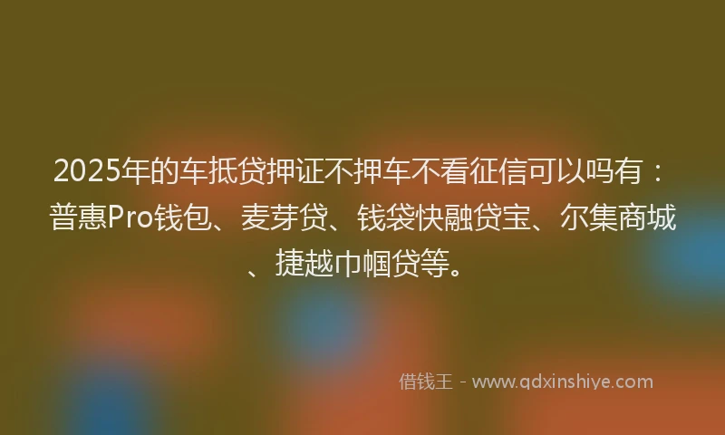2025年的车抵贷押证不押车不看征信可以吗有：普惠Pro钱包、麦芽贷、钱袋快融贷宝、尔集商城、捷越巾帼贷等。