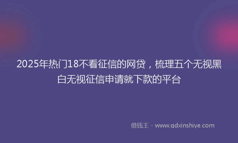 2025年热门18不看征信的网贷，梳理五个无视黑白无视征信申请就下款的平台